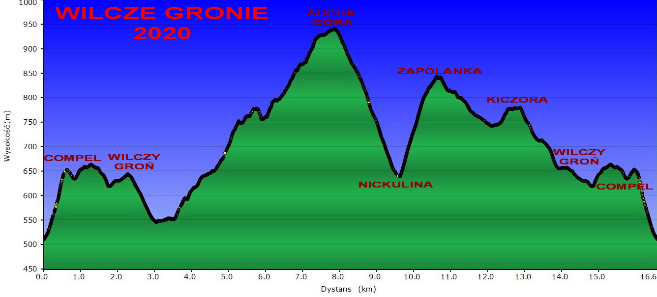 Wilcze Gronie 2020_1